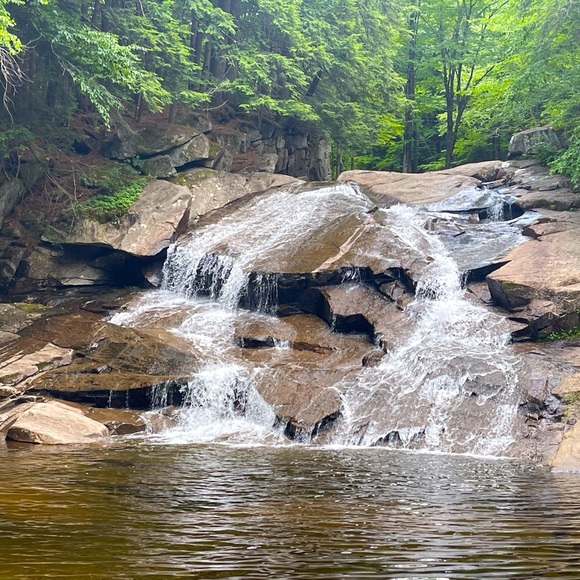 Meet your Posher, Skyler - Picture 2 of 9